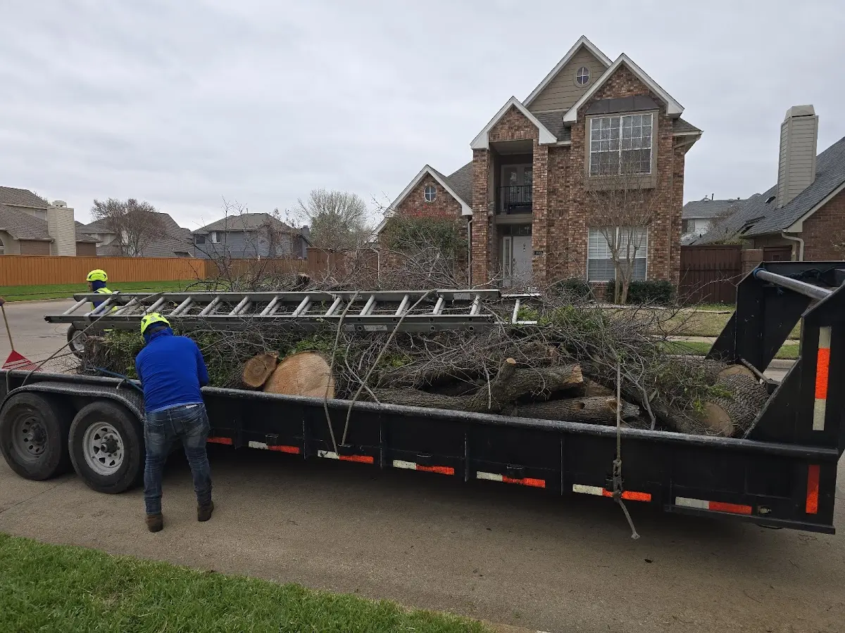 Expert Tree Pest Control with proper safety equipment in Columbia City
